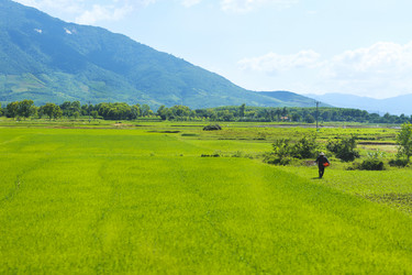 Similar image 12209789