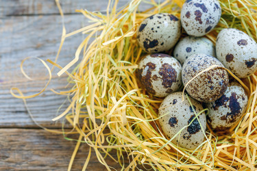 Similar image 12216654