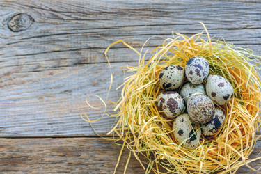 Similar image 12216637