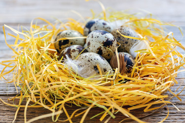 Similar image 12216639