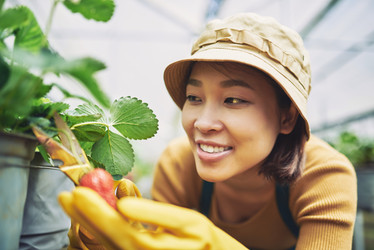 Similar image 12216470