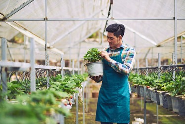 Similar image 12216487