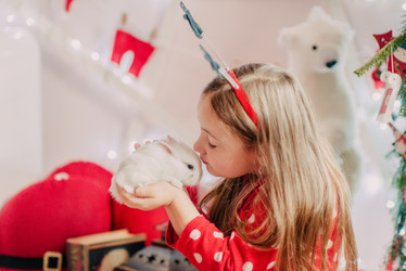 Similar image 12212972