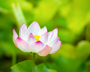 Similar image 12217603