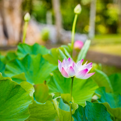 Similar image 12217604