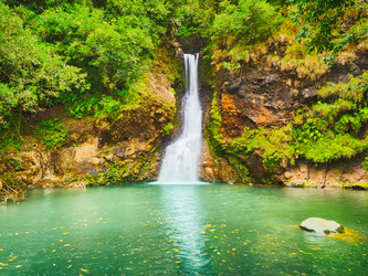 Similar image 12218216