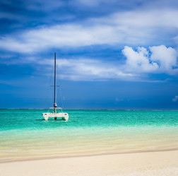 Similar image 12217576