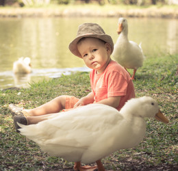 Similar image 12217432