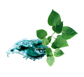 Similar image 12212951