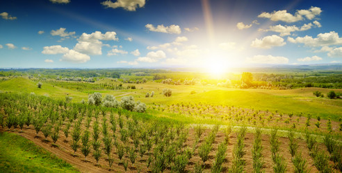 Similar image 12218534