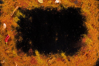 Similar image 12218381