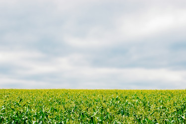 Similar image 12216198