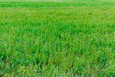 Similar image 12216201