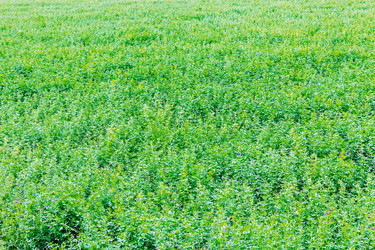 Similar image 12216202