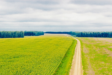 Similar image 12216203