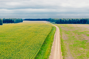 Similar image 12216206