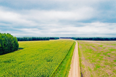 Similar image 12216217