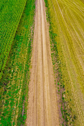 Similar image 12216218