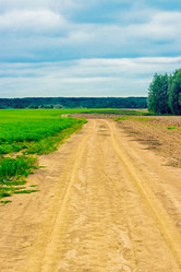 Similar image 12216220