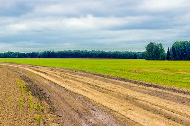 Similar image 12216222