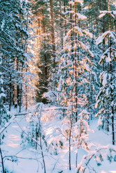 Similar image 12216057