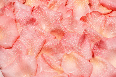 Similar image 12218654