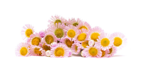 Similar image 12218655