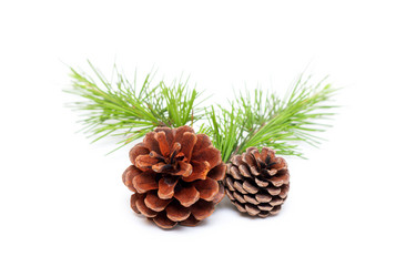 Similar image 12218641