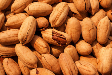 Similar image 12218651