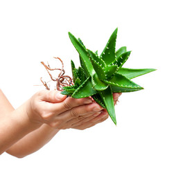 Similar image 12218653