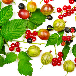 Similar image 12218561