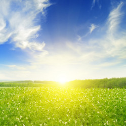 Similar image 12218804