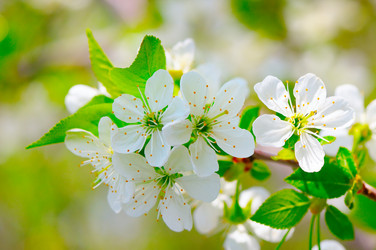 Similar image 12218808