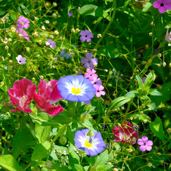 Similar image 12218810