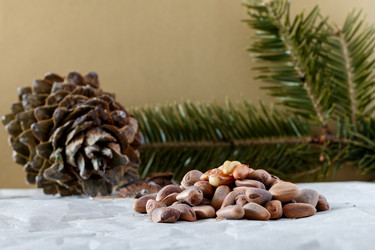 Similar image 12214419