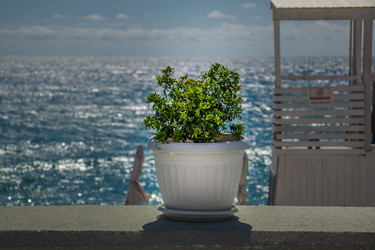 Similar image 12216155