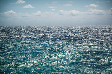 Similar image 12216156