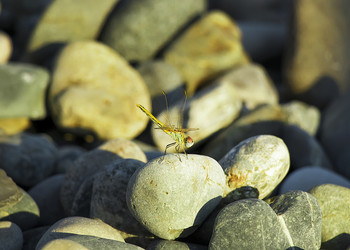 Similar image 12216158