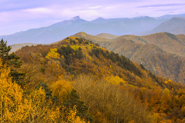 Similar image 12214425