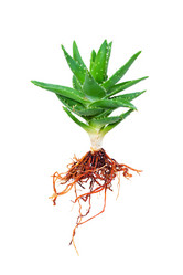 Similar image 12218626