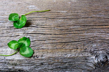 Similar image 12219277