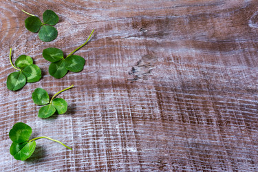 Similar image 12219279