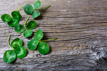 Similar image 12219284