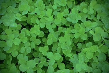 Similar image 12219287