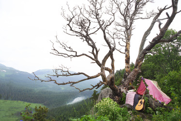 Similar image 12216575