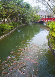 Similar image 12216591