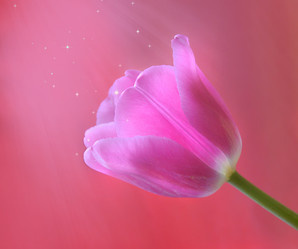 Similar image 12216064