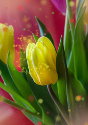 Similar image 12216065