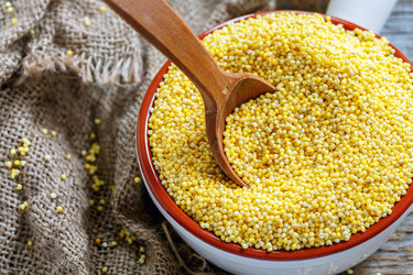 Similar image 12216684