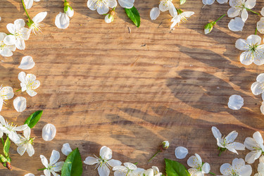 Similar image 12217712